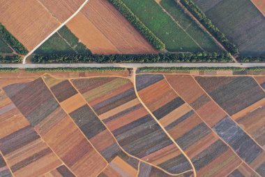 Bir köyle iç içe geçmiş ananas tarlaları da dahil olmak üzere renkli ekinler sergilenen geniş tarım arazileri manzarası.