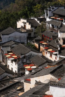 Kırsal bir Çin köyünde canlı bir sonbahar hasadı geleneksel mimariyi gözler önüne seriyor. Eşsiz çatıları olan evlerde altın bir günbatımı altında güneşte kurumuş mahsuller sergileniyor. Havadaki neşe ve şenliği yansıtıyor..