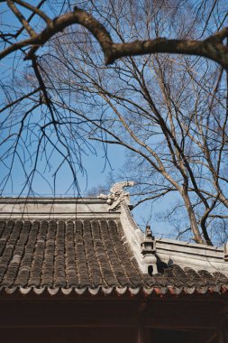 Eski bir Çin tapınağı geleneksel çatısını zarif dekorasyonlarla sergiliyor. Yakındaki bir ağacın dalları parlak mavi gökyüzünün altındaki dingin atmosfere eklenir..