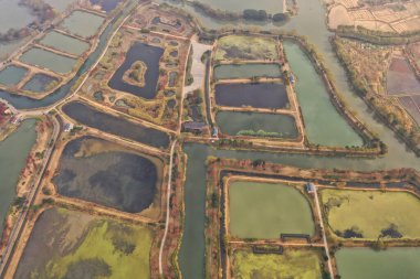 Sonbaharda bir balçık ormanının havadan görünüşü, canlı yeşillikler ve sarmal su kanalları resimli bir sahne için.