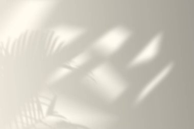 shadow overlay effect. shadow on wall in the room from window. soft light and shadows from branches