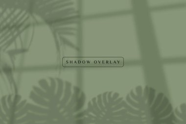 green wall with shadow overlay