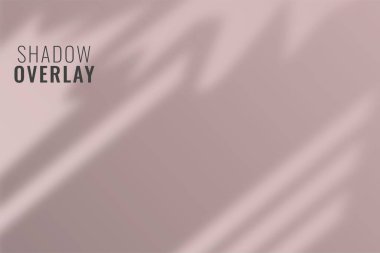 Gölge Örtüsü Arkaplan Vektör Resimlemesi