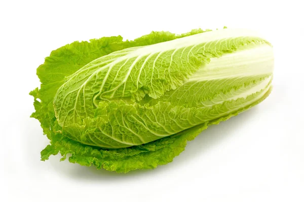 Chinese Cabbage White Background — Stock Photo, Image