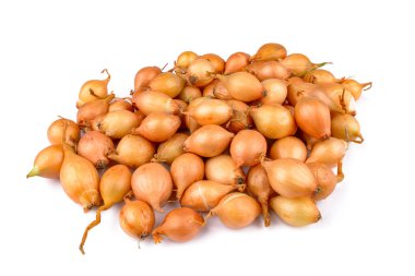 beyaz zemin üzerine taze soğan