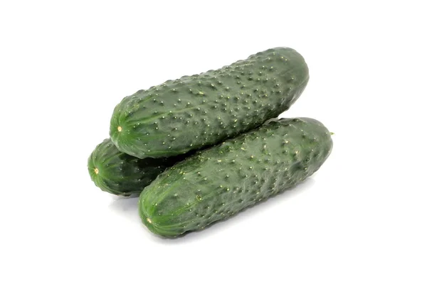 Cucumber White Background — Stock Photo, Image