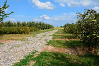 karayolu ile alanlar