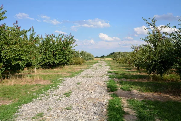 karayolu ile alanlar