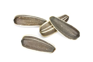 Beyaz arkaplanda izole edilmiş ayçiçeği tohumları