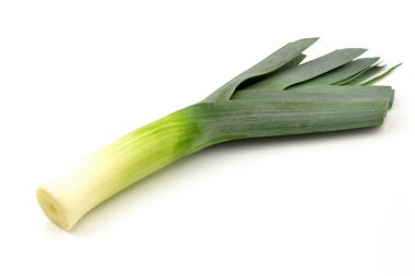 beyaz zemin üzerine pırasa