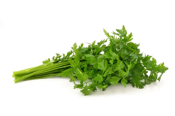 stock image parsley leaves isolated on white background