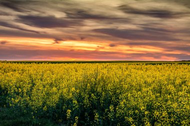 Gün batımında tecavüz alanının manzarası