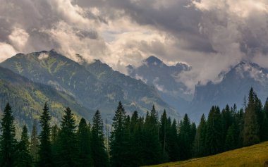 Tatra Dağları - Rusinowa Polana 'dan manzara