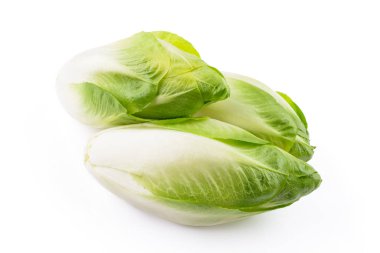 Beyaz arkaplanda hindiba rengi