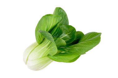 Pak choi lahanası beyaz arka planda izole edilmiş.
