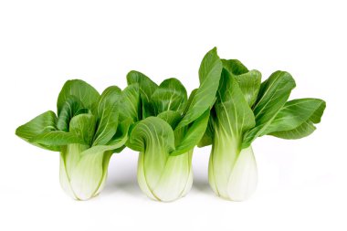 Pak choi lahanası beyaz arka planda izole edilmiş.