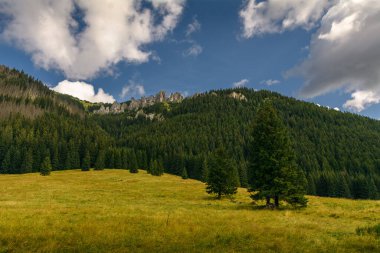 Tatry Dağları, Chochoowska Vadisi, Polonya