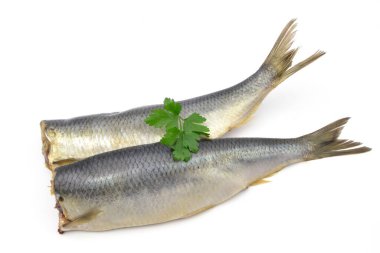 Beyaz bir arka plan üzerinde ringa balığı