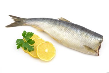 Beyaz bir arka plan üzerinde ringa balığı