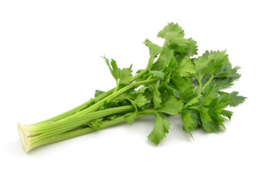 beyaz zemin üzerine kereviz yaprağı