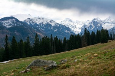 Tatra Dağları - Rusinowa Polana 'dan manzara 