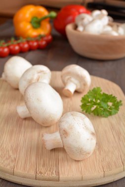 mantar yönetim kurulu