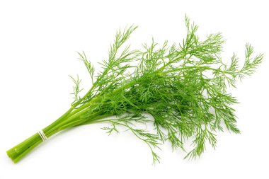 beyaz zemin üzerine dereotu