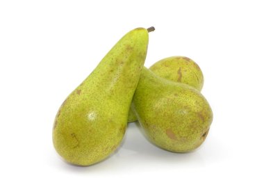 armutlar beyaz arkaplanda