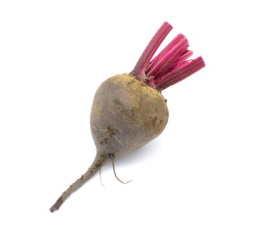 Beyaz arkaplanda pancar kökü