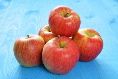 elma yönetim kurulu