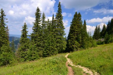 Yazın Tatra Dağları - Polonya
