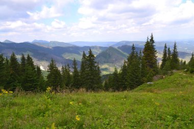 Yazın Tatra Dağları - Polonya