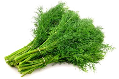 beyaz zemin üzerine dereotu