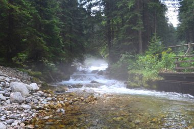 Tatra Dağları 'ndaki dağ deresi - Polonya