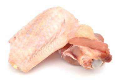 hindi kanadı beyaz arkaplanda izole