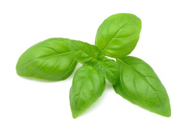 Beyaz arkaplanda fesleğen