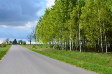 Tarlalar ve ormanlar boyunca asfalt yol
