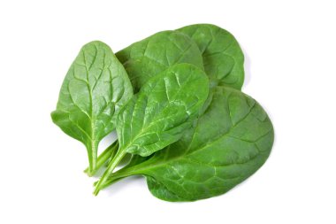 Beyaz arkaplanda ıspanak