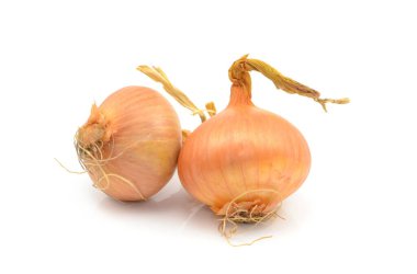 Beyaz arkaplanda soğan
