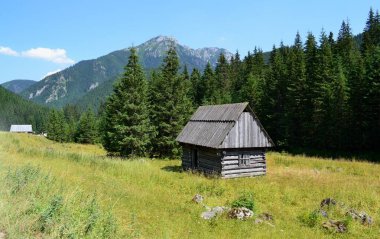 Tatra Mountains - Chochoowska Valley, Poland