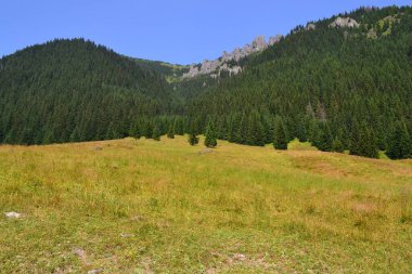 Tatra Mountains - Chochoowska Valley, Poland