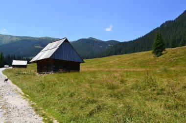 Tatra Mountains - Chochoowska Valley, Poland