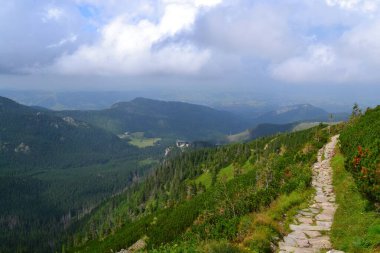 trail to Kasprowy Wierch - Tatry, Poland