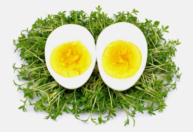 watercress with egg on a white background