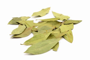 Saha yaprağı beyaz arkaplanda izole edildi