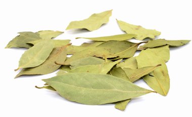 Saha yaprağı beyaz arkaplanda izole edildi