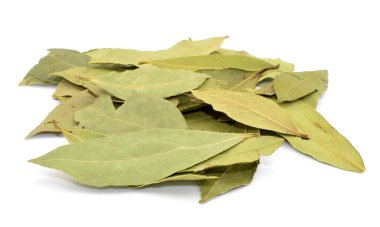 Saha yaprağı beyaz arkaplanda izole edildi