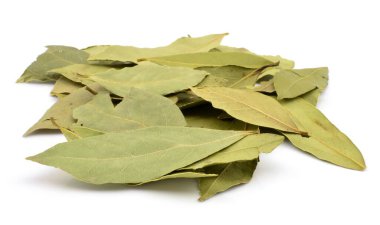 Saha yaprağı beyaz arkaplanda izole edildi