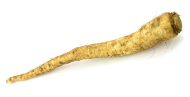 Beyaz arkaplanda izole edilmiş maydanoz kökü