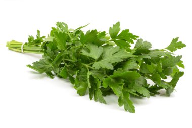 Beyaz arka planda maydanoz